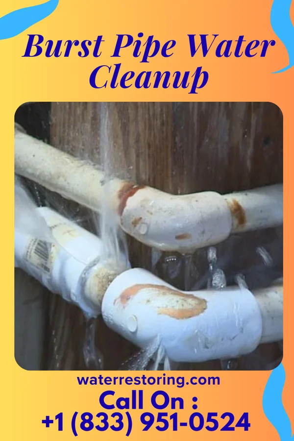 Burst Pipe Water Cleanup in Waukon, IA