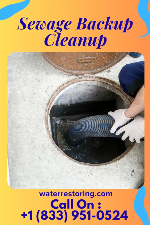 Sewage Backup Cleanup in Waukon, IA
