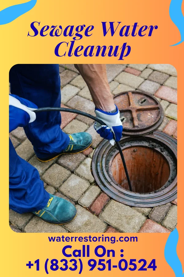 Sewage Water Cleanup in Waukon, IA